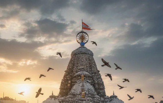 जगन्नाथ मंदिर शिखर पर चीलों का झुंड