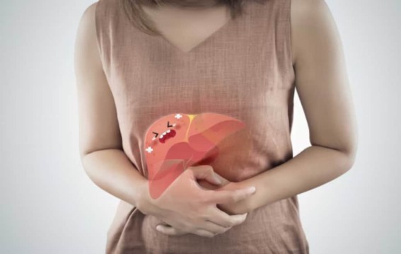 लिवर खुद को कैसे ठीक करता है…