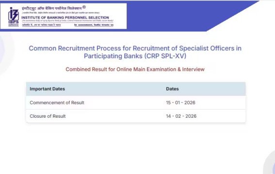 आईबीपीएस आरआरबी क्लर्क प्रीलिम्स 2025 का रिजल्ट जल्द होने की संभावना