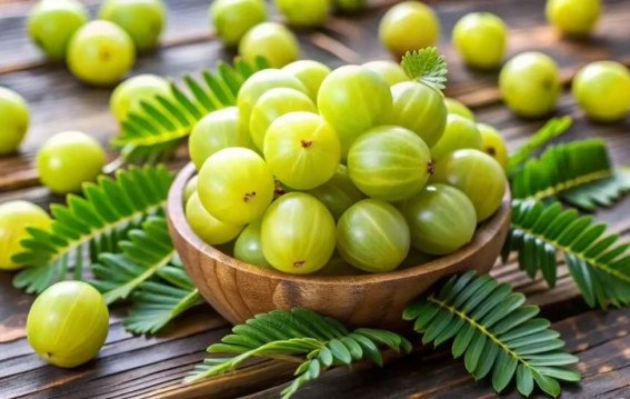 एंटी-एजिंग में आंवले की भूमिका