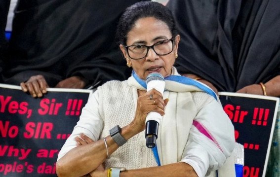 वकील ममता बनर्जी