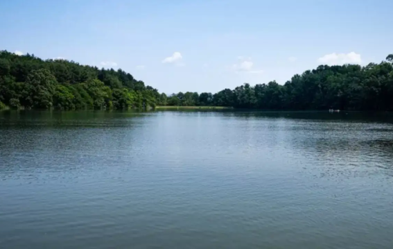 दुनिया का सबसे जलसमृद्ध देश