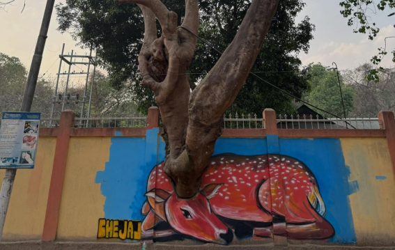 टूटी दीवार पर कलाकार का कमाल