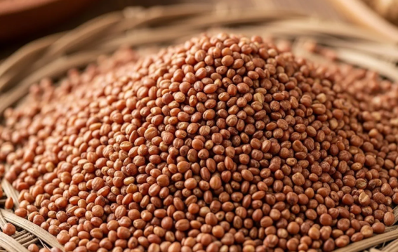 हर महिला की डाइट में क्यों जरूरी है रागी