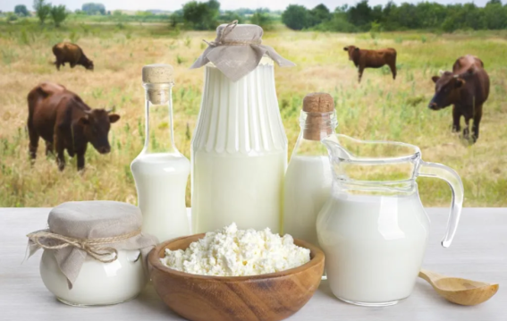 गाय का दूध दिमाग के लिए बेहतर