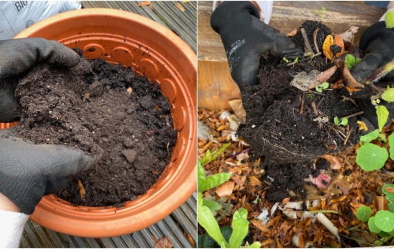 गमलों के लिए परफेक्ट मिट्टी कैसे तैयार करें घर पर