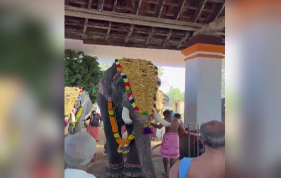 केरल मंदिर उत्सव में बेकाबू हाथी