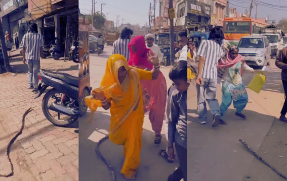 नकली सांप से सड़क पर मचा हड़कंप