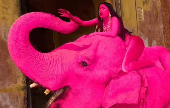 जयपुर में गुलाबी हाथी विवाद