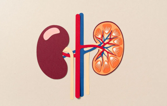 किडनी स्टोन में यूरिन से खून क्यों?
