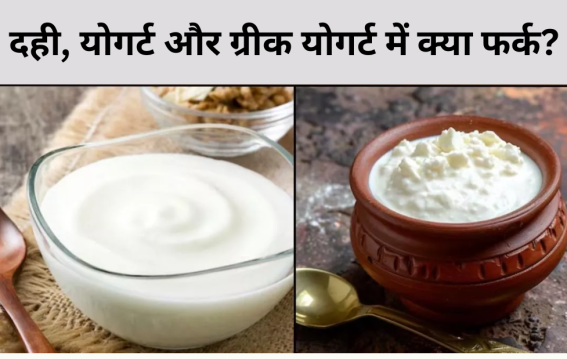 दही, योगर्ट और ग्रीक योगर्ट में क्या फर्क?