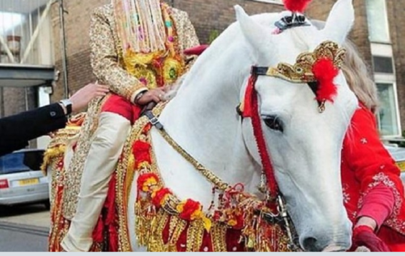 घोड़ी चढ़ते दूल्हे को गर्लफ्रेंड ने रोका