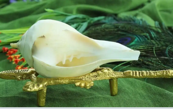 पूजा घर में दो शंख क्यों?