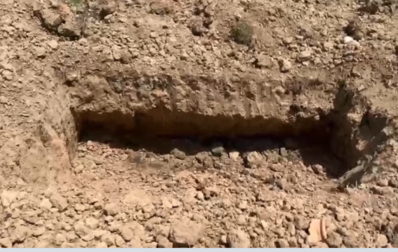 बहन का कंकाल कब्र से निकाल बैंक पहुंचा भाई