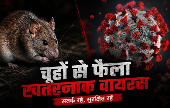 कोरोना से ज्यादा खतरनाक हंता वायरस?