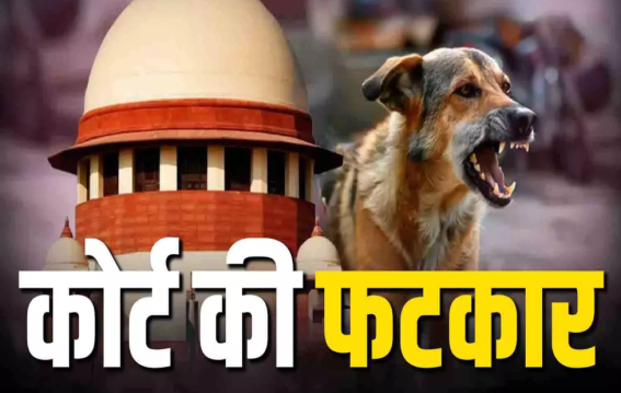 आवारा कुत्तों पर SC सख्त