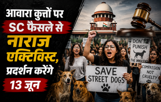 आवारा कुत्तों पर SC फैसले से नाराज एक्टिविस्ट