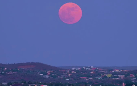 12 अप्रैल को दिखेगा साल का सबसे छोटा 'पिंक मून'