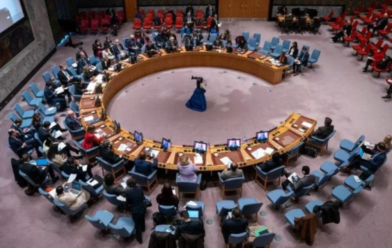 UNSC मीटिंग से पहले डरा पाकिस्तान