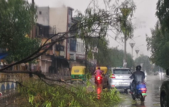 दिल्ली-एनसीआर में तेज़ धूलभरी आंधी और बारिश से जनजीवन अस्त-व्यस्त