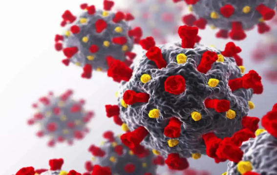 भारत में मिला कोविड-19 का नया सबवेरिएंट NB.1.8.1