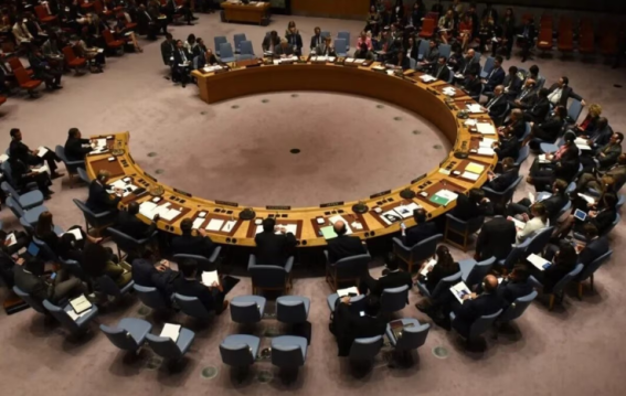 जुलाई में पाकिस्तान को मिली UNSC अध्यक्षता