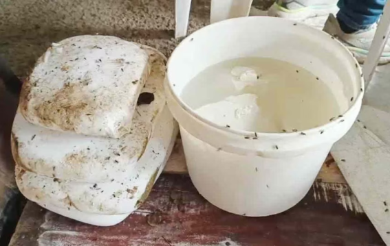 सहारनपुर: नकली पनीर फैक्ट्री में छापेमारी