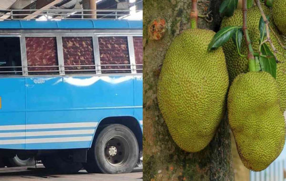 केरल में पका कटहल बना ड्रिंक एंड ड्राइव की वजह