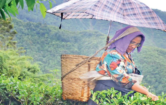 दार्जिलिंग की आदिवासी युवती रोनिता लामा को उसके ही घर में किया गया अपमानित