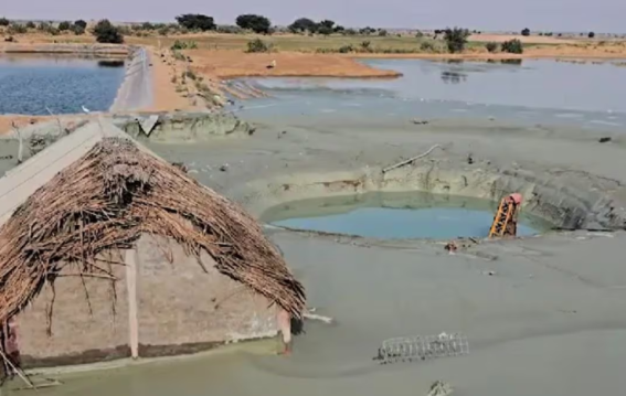 झील किनारे खुदाई के दौरान ग्रामीणों ने खोजा