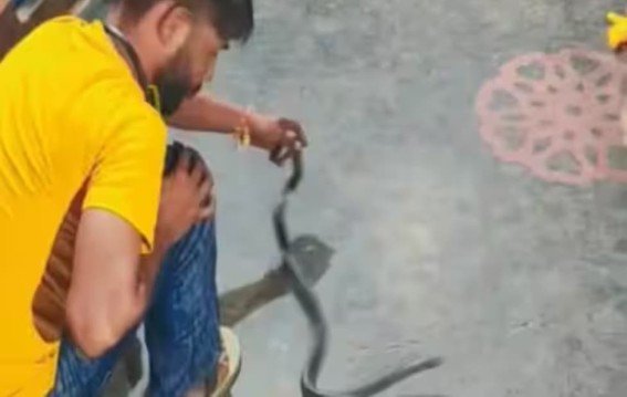 UP में सांप पकड़कर वीडियो बनाना