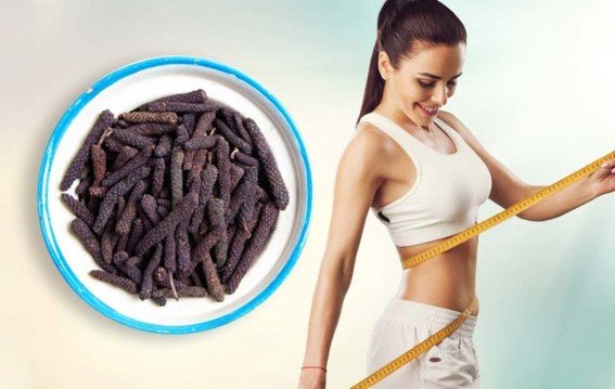 Pippali for Weight Loss