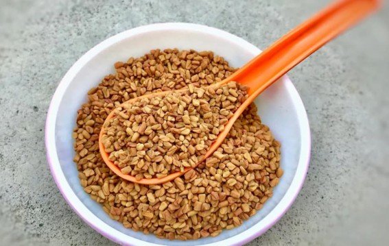 मेथी दाना सच में वज़न घटाने