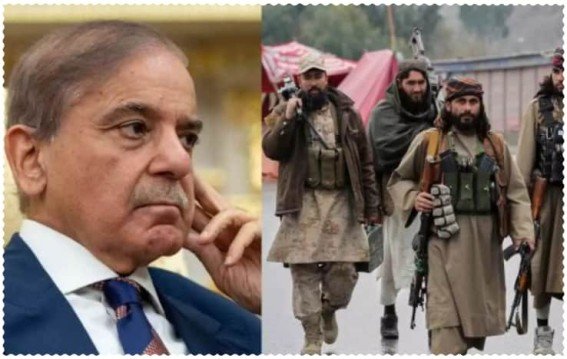 पाकिस्तान के ‘धोखे’ के बाद क्या तालिबान करेगा अगला कदम