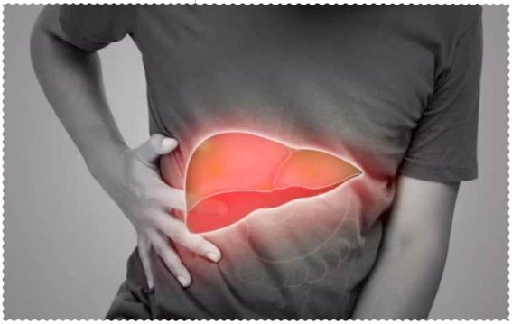 लिवर पर चढ़ी चर्बी ऐसे गायब होगी