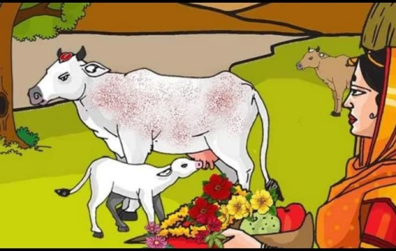 गौसेवा और श्रीकृष्ण भक्ति का महत्व, जानें कथा और पूजा विधि