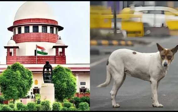 बिहार मुख्य सचिव को सुप्रीम कोर्ट की फटकार