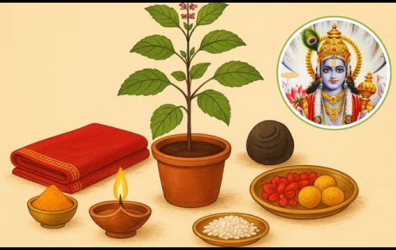 तुलसी विवाह में कैसी होती है विधि,