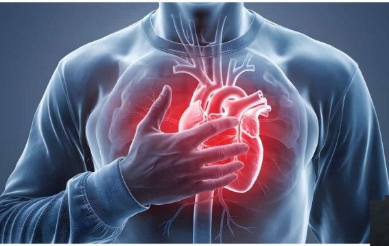 मोटे लोगों के लिए खुशखबरी दिल की बीमारी का खतरा कम