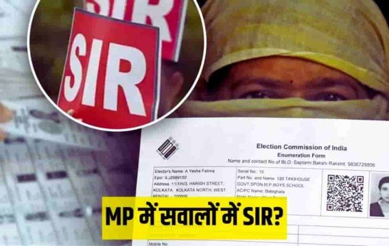 दतिया में SIR सहायकों की
