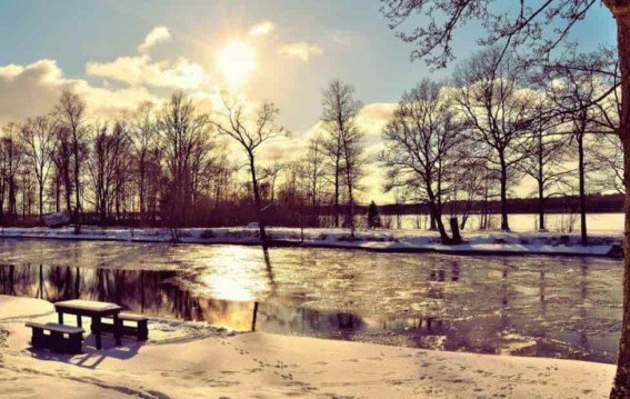 स्वीडन की साफ हवा और भारत वापसी …