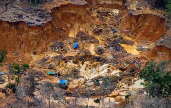 ब्राजील के जंगलों में मिला 700 किलो सोना