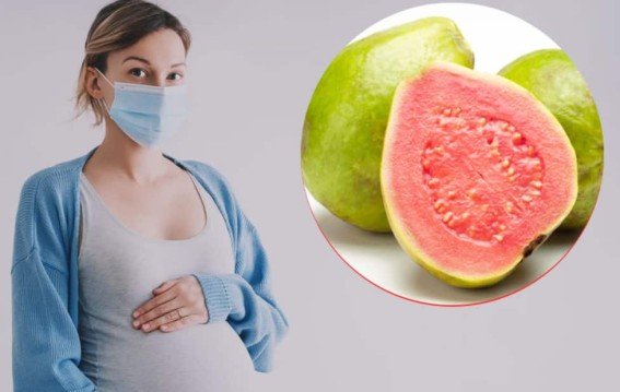 ठंड में प्रेग्नेंसी और अमरूद